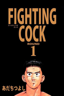 Fighting Cock