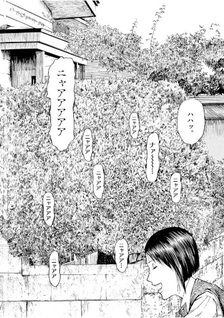 Fujimi no Paisen