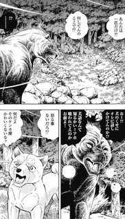 Ginga - The Last Wars