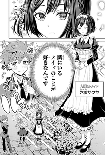 Gomennasai Ojou-sama, Ore wa Maid ga Sukinan desu