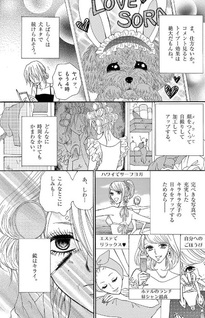 Gomi Yashiki to Toipūdoru to Watashi