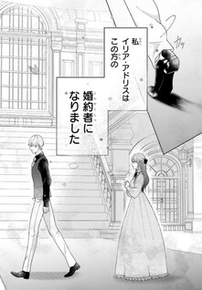 Hanayome Shuugyou wo Yametakute, Reitetsu Koushaku no 13-banme no Konyakusha ni narimasu