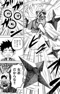 Hanzō to Jūsan-nin no Kunoichi-tachi