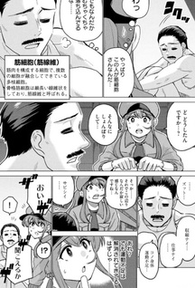 Hataraku Saibō Muscle