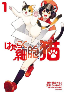 Hataraku Saibou Neko