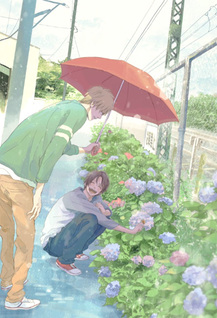 Hidamari ga kikoeru - I hear the sunspot: Limit
