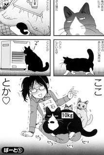 Hijiki no oshigoto