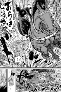 Hikuidori: Ushū Boro Tobi-gumi