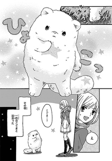 Hoshi no Koguma