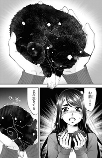 Hosomura-san to Neko no Otsumami