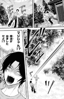 Hōkai Sekai no Mahō Tsue Shokunin