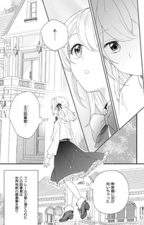 Iekara Oidasareta Watashi wa, Ringoku no Okakae Renkinjutsushi to shite, Shiawase na Daini no Jinsei wo Okuru koto ni shimashita!