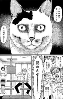 Junji Ito's Cat Diary: Yon & Mu