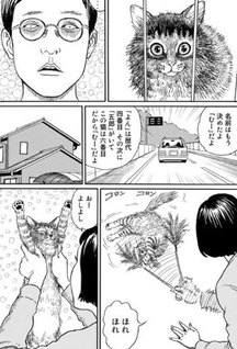 Junji Ito's Cat Diary: Yon & Mu