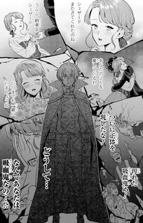 Jakuten Zero Kyūketsuki no Ryōchi Kaikaku