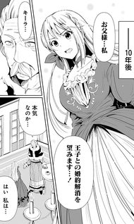 Jinsei wo Yarinaoshita Reijou wa Yarinaoshi wo Yarinaosu.