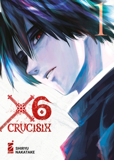 X6 - Crucisix