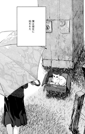 Lei e il suo Gatto (Manga)
