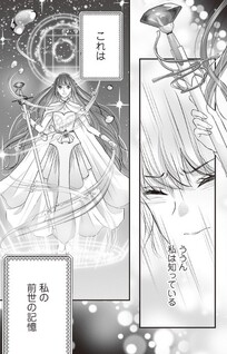 Karappo Seijo to shite Suterareta Hazu ga, Totsugisaki no Koutei Heika ni Dekiai Sareteimasu