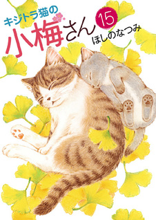 Kijitora neko no Koume-san