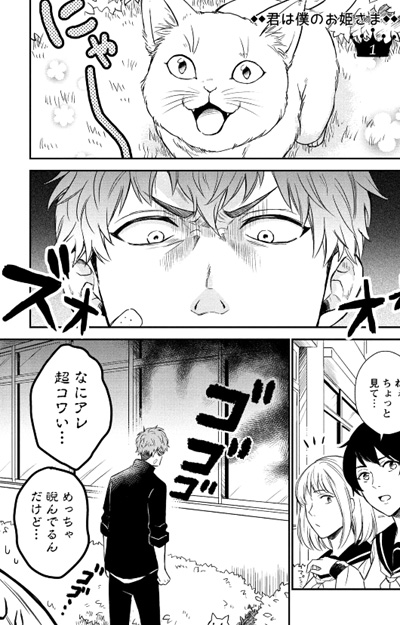 Kimi wa Boku no Ohimesama (Manga) | AnimeClick.it - Kimi Wa Boku No Ohime Sama Manga