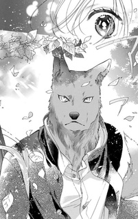 Kimi to Koete Koi ni Naru