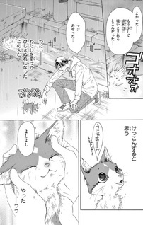 Kinme Ginme Nekoyakata