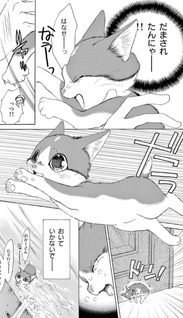 Kinme Ginme Nekoyakata