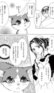 Kinme Ginme Nekoyakata