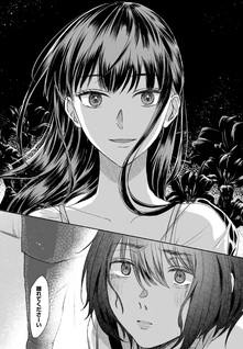 Kirakira no Kowashikata