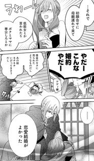 Kono Endan wa Kaishaku Chigai desu ~ Rentaru kishi-sama wa oshi no botsuraku reijō to morahara fianse o hadan sa setai ~