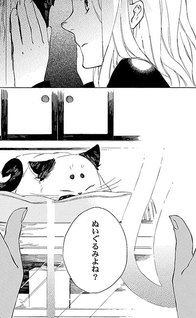 Kottou Nekoya