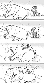 Kuma to tanuki