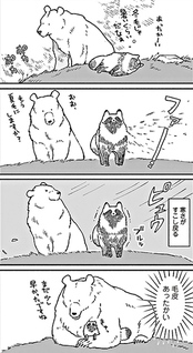 Kuma to tanuki