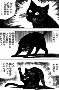 Black Cat
