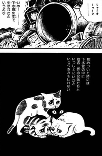 Black Cat