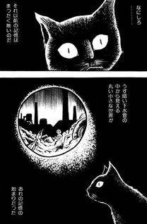Black Cat