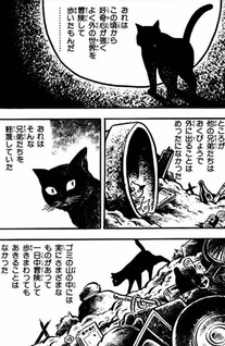 Black Cat