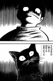 Black Cat