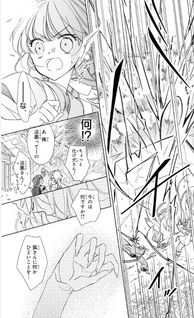 Kyūbigitsune to Kemono no Kusushi