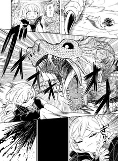 Mamono no Mori no Shōjo Nova