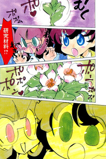 Mandragora!