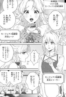 Meshitsukai Reijō wa Kokkyō wo Koe, Tekikoku no Kōshaku Kishi-sama ni Dekiaisareru