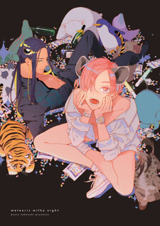 Meteoric Milky Night