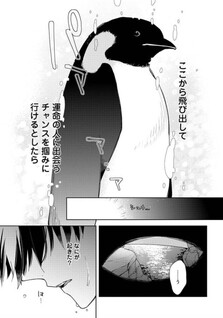 Meteoric Milky Night