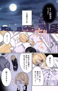 Migawari de Totsuida Reikoku Kokuō wa Hatsukoi Aite deshita