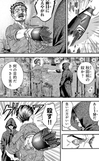 Mihaburi no Uta - Kage to Iu na no Shinigami