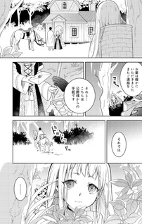Mori no Hashikko no Chibi Majo-san