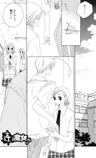 Mori no Majo-tachi