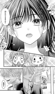 Mou Suki desho, Ore no Koto